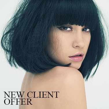New Client Offer New Client Offer