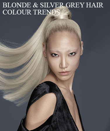 Platinum Blonde & Silver Grey Hair Colour Trends Platinum Blonde & Silver Grey Hair Colour Trends